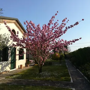 Casa Pianta Pensjonat